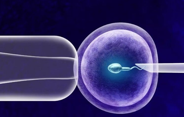 辅助生殖技术在生殖助孕中的应用