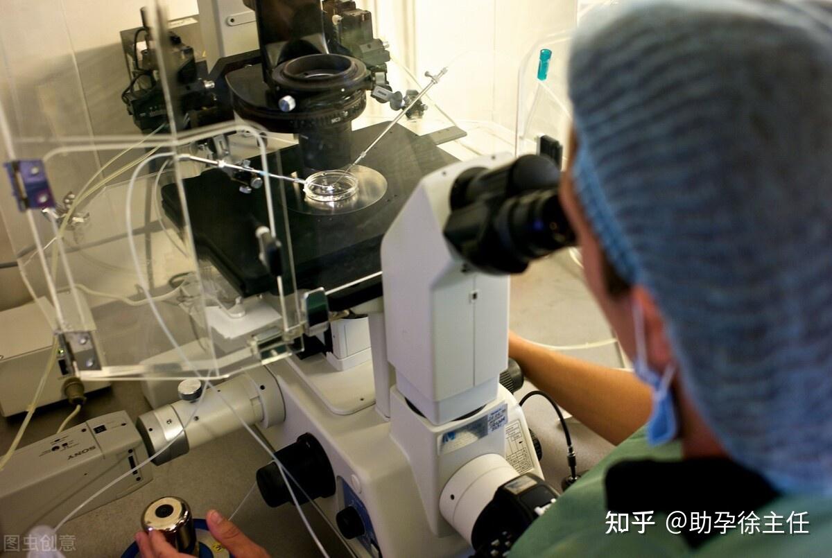 辅助生殖技术在宁波的应用