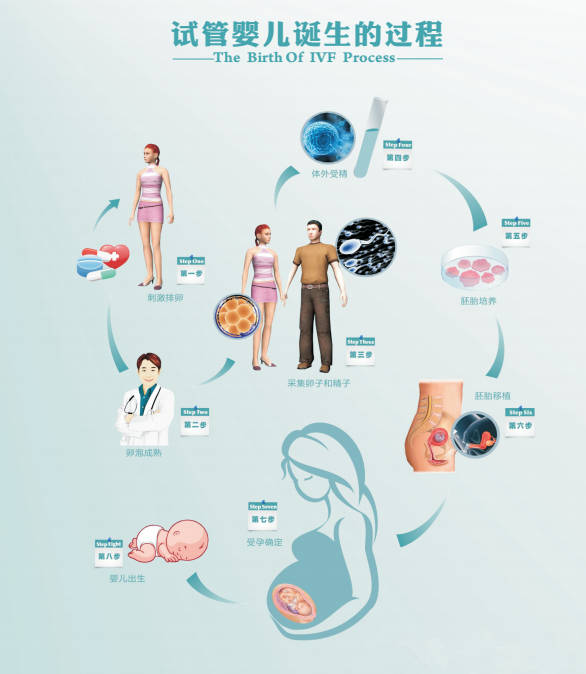 试管婴儿胚胎质量分级标准解读