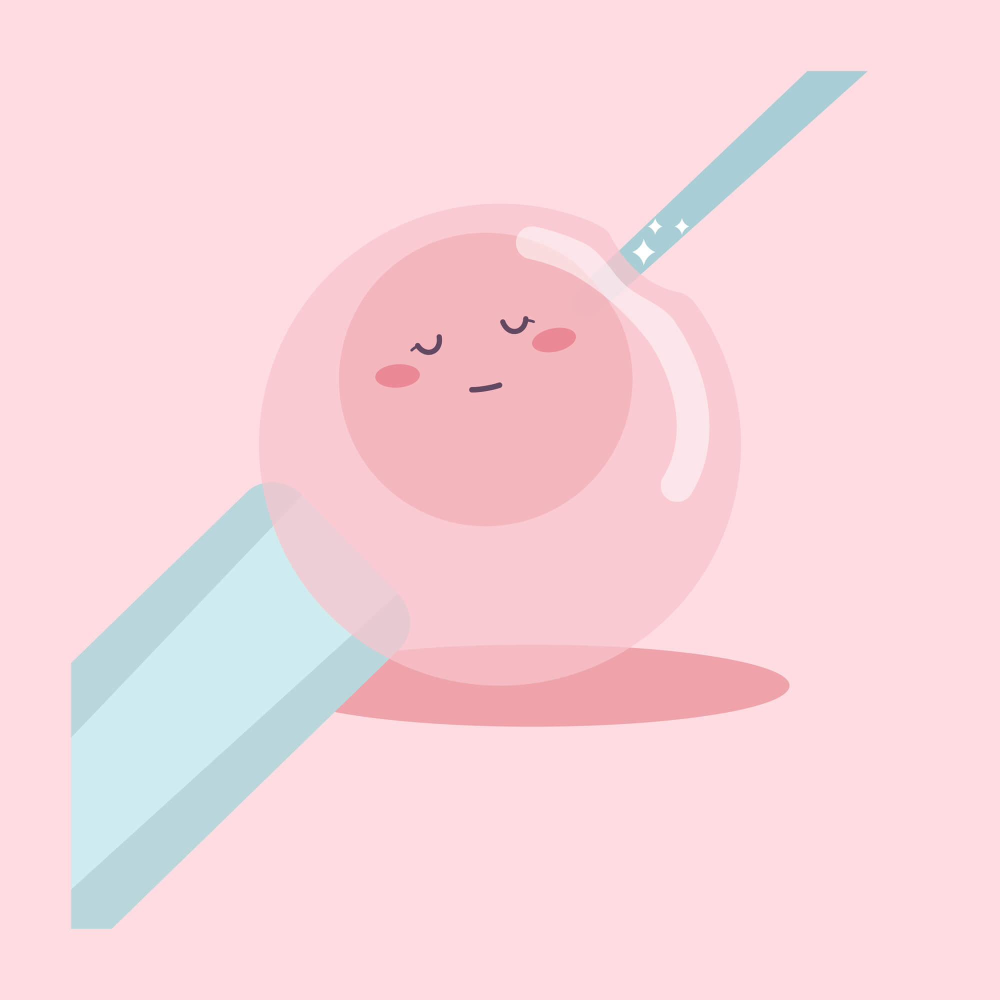 试管婴儿胚胎移植流程详解