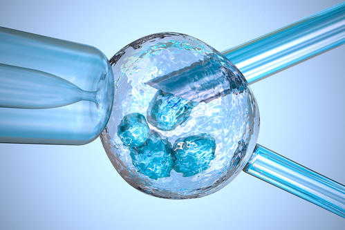 辅助生殖技术在阜阳的应用